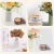 Import 16 Pack Scented Candles Gift for Women Home Decor Party Candles from USA
