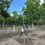 Compact 6 in 1 Weather Station Temperature Humidity Pressure Wind Rainfall Solar Radiation Sensor