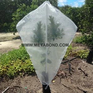 Fruit Tree Cover Plastic Bags