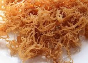High quality sea moss