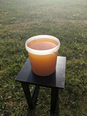 honey