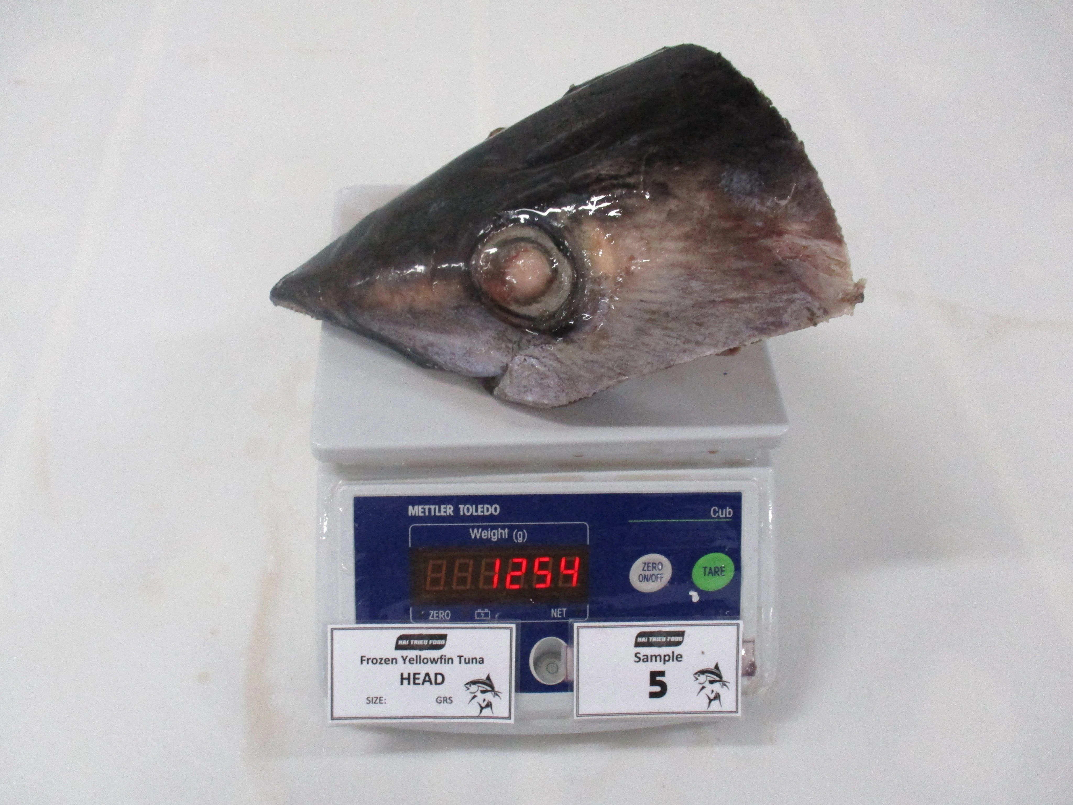 Buy Frozen Tuna Heads All Sizes from Hai Trieu Foods, Vietnam