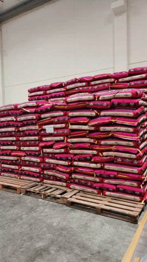 Basmati rice 1121