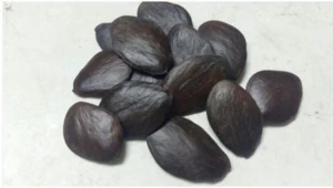 Herbal Seeds - Agathosma Betulina Herbal Seed & Agbandu Herbal Seed