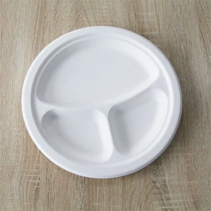 Eco-friendly compostable disposable 3 compartment food tray