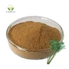 Wholesale 20% 40% Bamboo Flavonoids Organic Bamboo Leaf Extract Powder