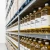 Import Natural Sunflower Oil Packed With Essential Fatty Acids Healthy Premium Sunflower Oil Ready For Bulk Orders Today from United Kingdom