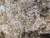 Import natural white color Sheep Wool/Greasy Sheep Wool from South Africa