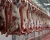 Import Bovine Meat (Coolbulls) from Pakistan