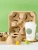 Import Molded Pulp 4-PC Coffee Holders Drink Takeaway Trays from Hong Kong