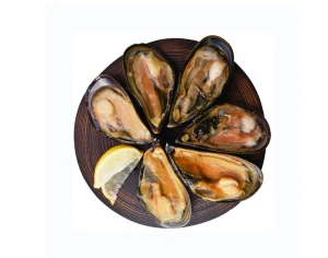 Hot Selling Price Frozen Shellfish Mussels / Frozen Mussel Meat With Shell (Seafood) in Bulk