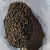Import Black Pepper from Vietnam