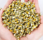 Chamomile