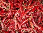 Dried Red Chili