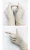 Import Latex Gloves - Disposable Medical Surgical Latex Examination Gloves from Canada