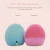 Import Silicone Face Facial Brush from China