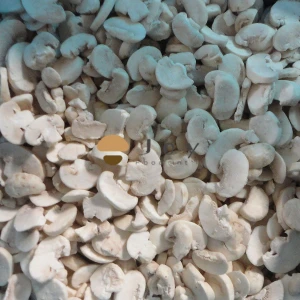 IQF Frozen Champignon Button Mushroom Agaricus Bisporus
