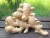Import Wholesale High Quality Fresh Ginger from South Africa
