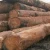 Import Bubinga, Sapele, Teak, Mahogany, Iroko Timber logs,Sawn woods from Cameroon