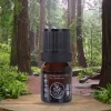 Organic Hinoki Essential Oil for Sustainable Skincare & Wellness