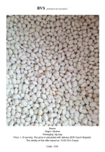 Beans baví