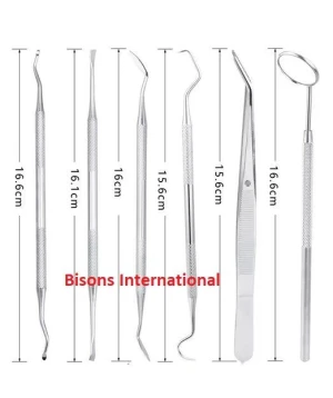 Professional Dental Instruments Set – 12 Pcs Stainless Steel Dentist Tool Kit with Mirror, Explorer, Scaler, Tweezers
