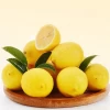 Fresh Lemon A 8 Fruits 104g-141g