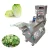 Import MNS-801 Multi-functional Vegetable Lettuce Cutting Machine from China