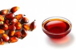 We have Seller for Palm Oil from Malaysia