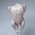 Import Frozen Halal HACCP ISO Whole Chicken and chicken parts from Canada