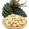 Buy Export Pine Nuts / Pine Nuts Kernels