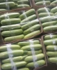 zucchini