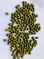 Mung Bean