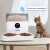 Import Double Bowl Smart Pet Feeder from China