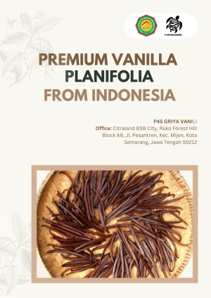 Premium Vanilla Planifolia from Indonesia