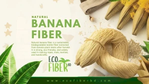 Premium Raw Banana Fiber