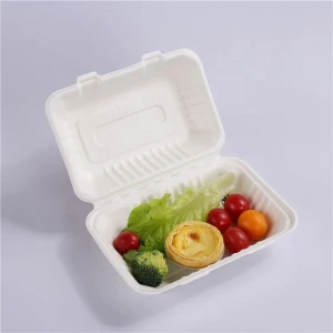 Biodegradable 9*6 Inch Food Container Disposable Sugarcane Bagasse Clamshell Box