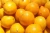 Import Valencia Orange from South Africa