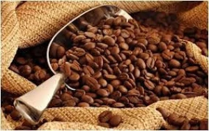 AA quality Arabica Coffee Beans