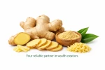 Ginger
