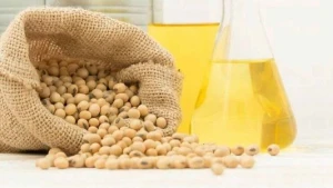 Refined Soybean Oil – Premium-Grade Edible Oil for Bulk & Export
