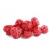 Import High Quality Dried Cherries With Natural Color And Aroma Dried Cherries Packed For Export And Wholesale from South Africa