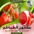 Import Yummy Taste Tomato Paste Sauce in Best Price from Iran
