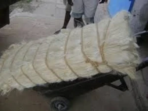 Premium Natural Fiber for Industrial & Agricultural Use