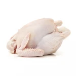 Frozen Halal HACCP ISO Whole Chicken and chicken parts