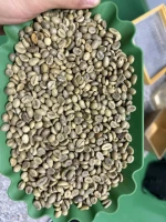 ROBUSTA GRADE 1 S16 WET POLISHED