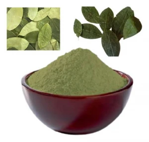 leaf Coke Powder Medicinal (Erythroxylum) from peru