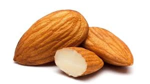 100% Grade A High Nutritious Almond Nuts / Raw Natural Almond Nuts / Organic Bitter Almonds