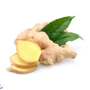 100% Pure Ginger Root Extract with high quality