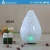 Import 100ml Glass Aromatherapy Essential Oil Diffuser Fireworks Air Fragrance Aroma Diffuser With Colorful LED Lights from China